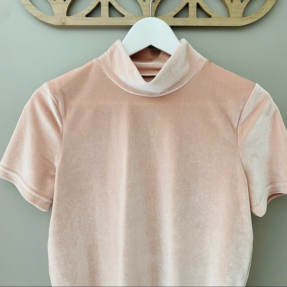 Madewell Velvet Mockneck Tee Shirt Pink Sz Small - Picture 2 of 8